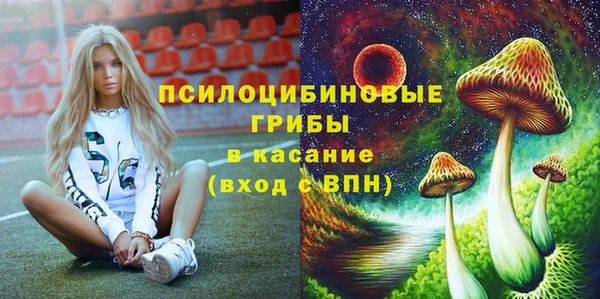 ECSTASY Алексин